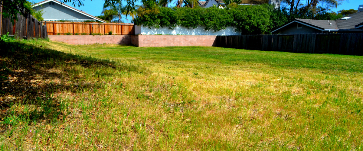 8 Violet Lane, Goleta, California 93117, ,Home,SOLD,Violet,1023