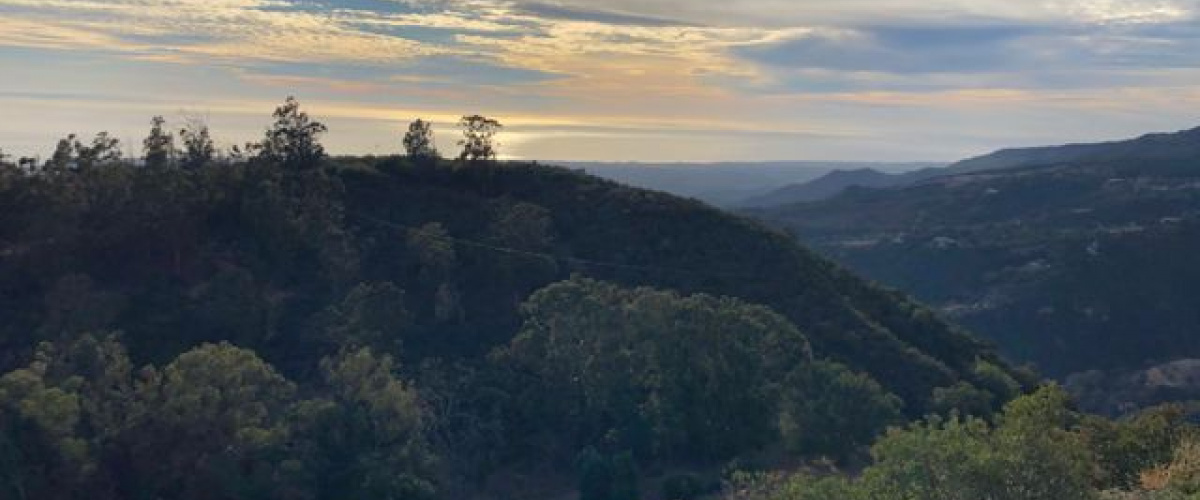 4859 Rim Road, Santa Barbara, California 93105, ,Home,For Sale,Rim,1026